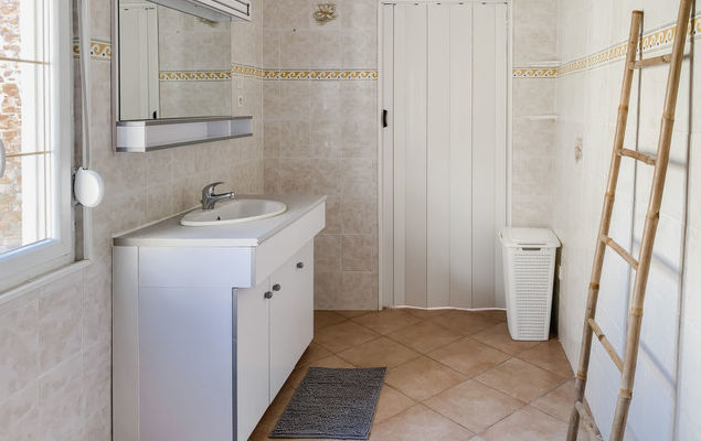 La salicorne - Photo 5