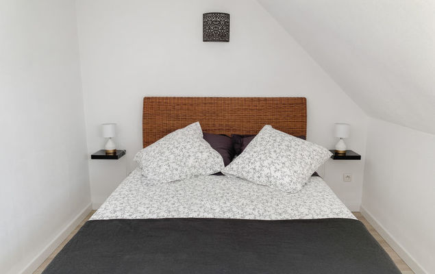 La salicorne - Photo 6