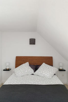 La salicorne - Photo 7