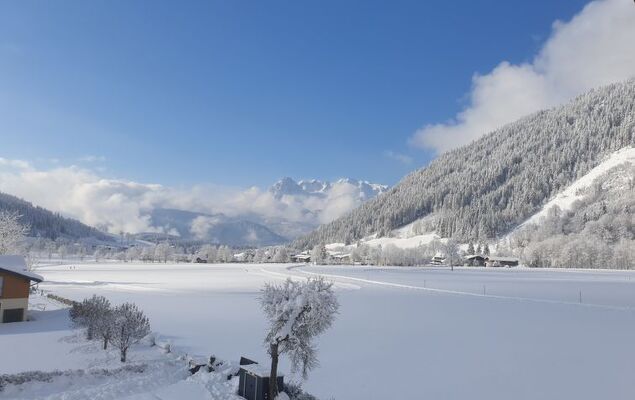 Edelweiss - Photo 30