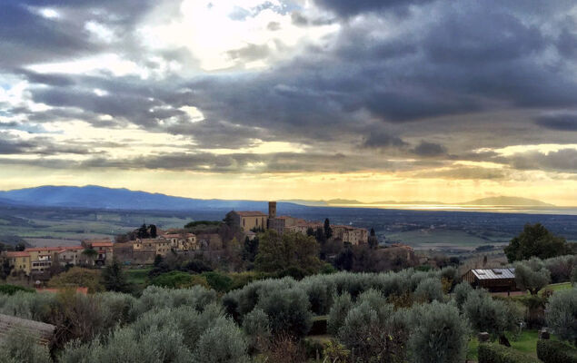 Levanelle - Photo 49