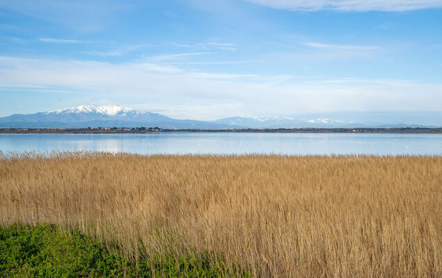 Copacabana - Photo 25