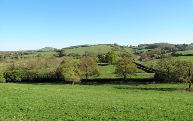 Le Glaude - Photo 22