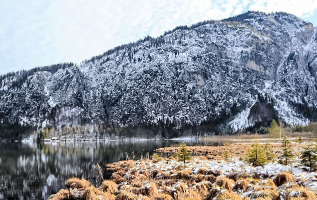 Spatzennest / Top 7 - Photo 30