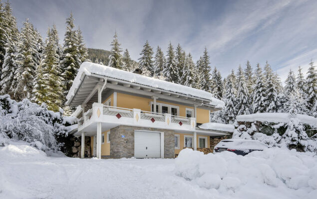 Steindlwald - Photo 29