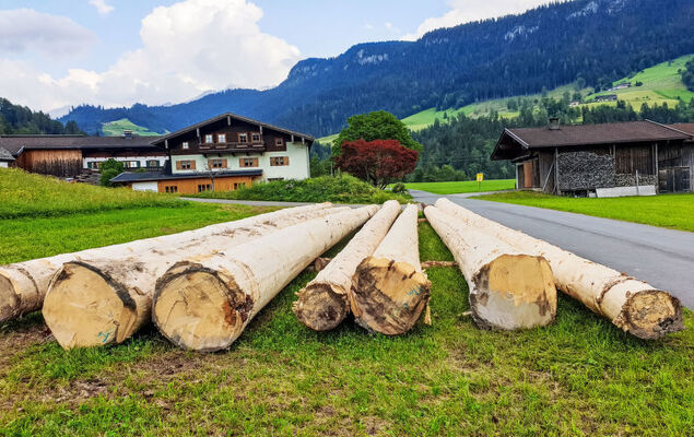 Weissbachergut - Photo 9