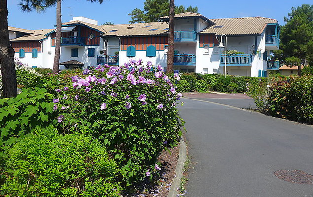 Les Berges Landaises - Photo 2